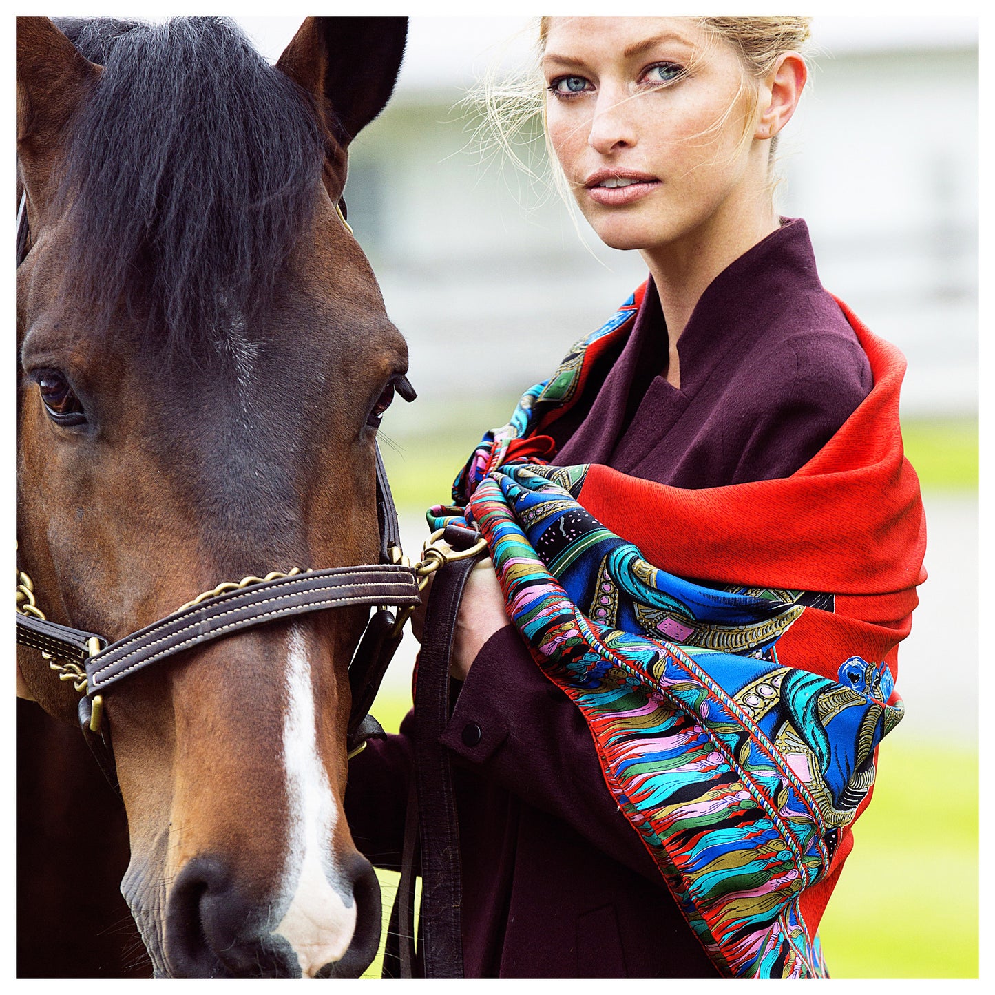 Silkhorse Signature Limited Edition Scarf